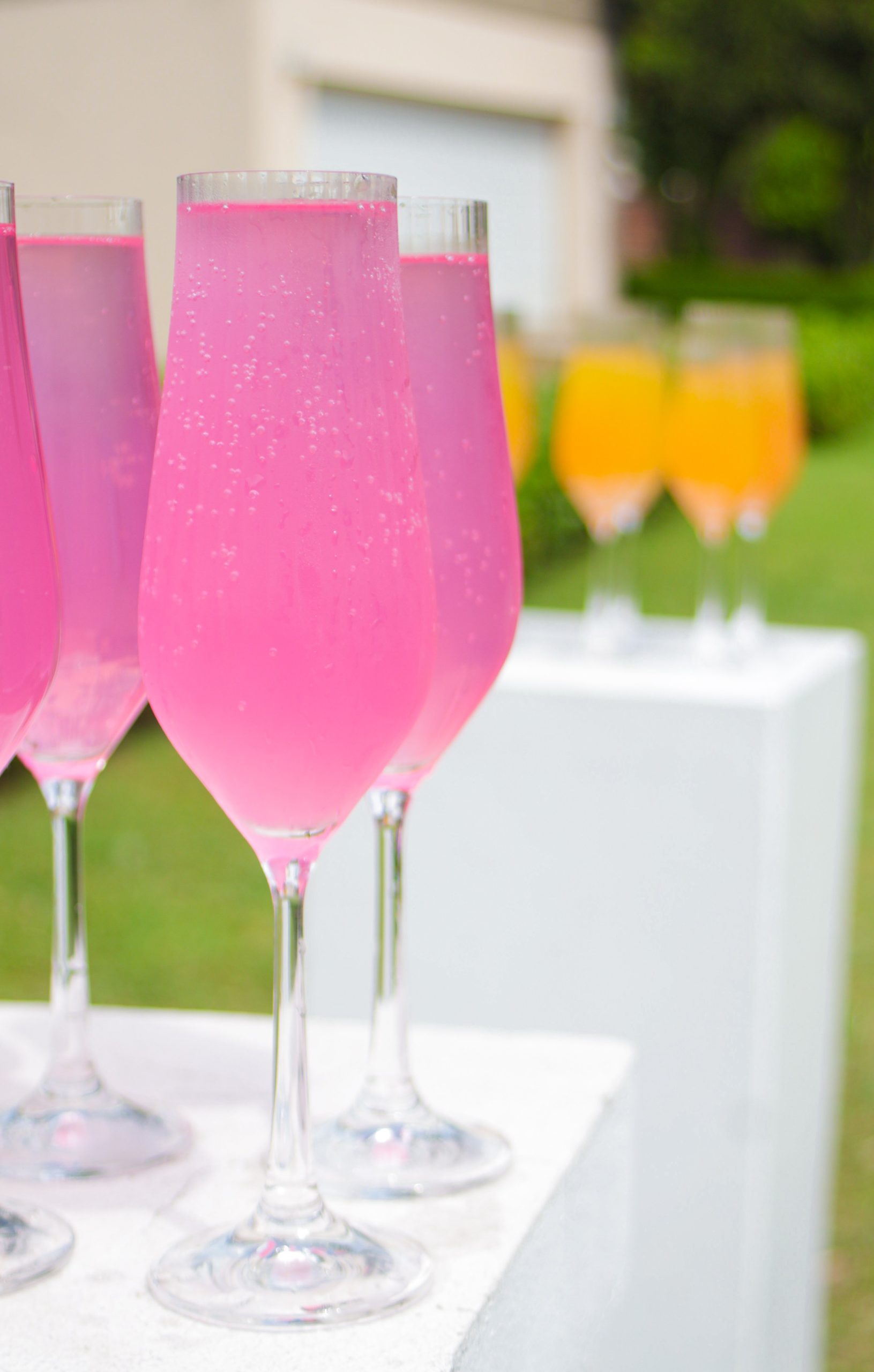 Drinks and bar service